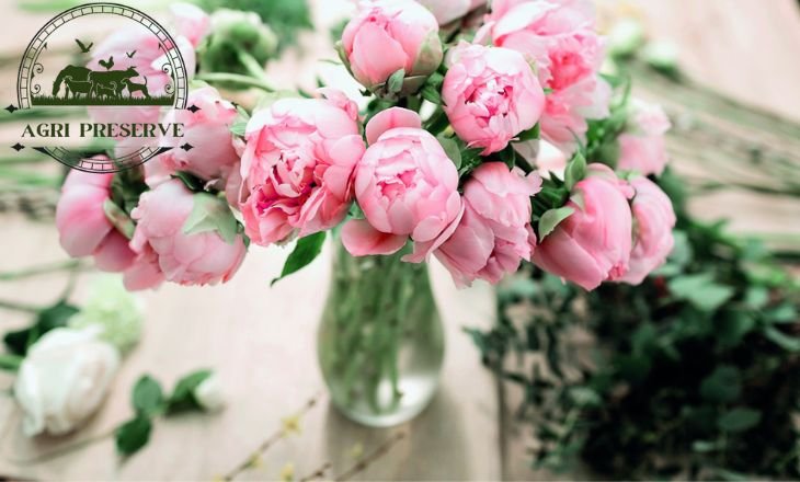 What Flowers Go Well With Peonies