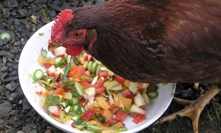 Can Chickens Eat Vegetables