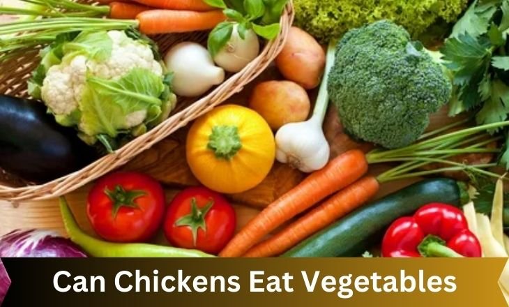 Can Chickens Eat Vegetables