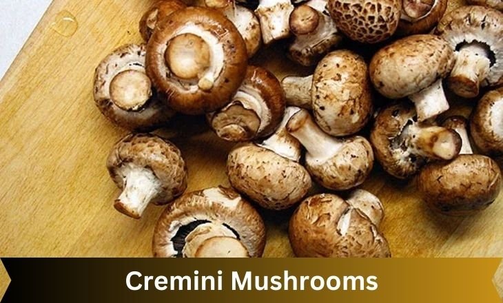 Cremini Mushrooms