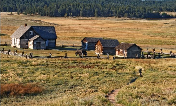 Homesteading - History & Lifestyle