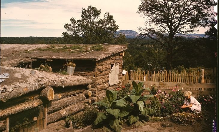 Women Homesteaders