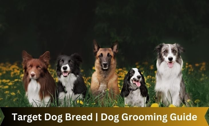 Target Dog Breed | Dog Grooming Guide