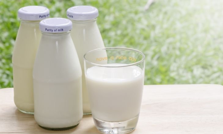 Types Of Milk