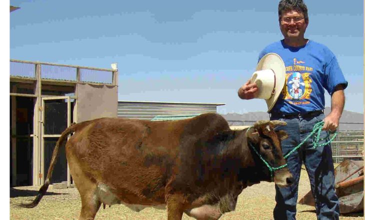 Miniature Zebu