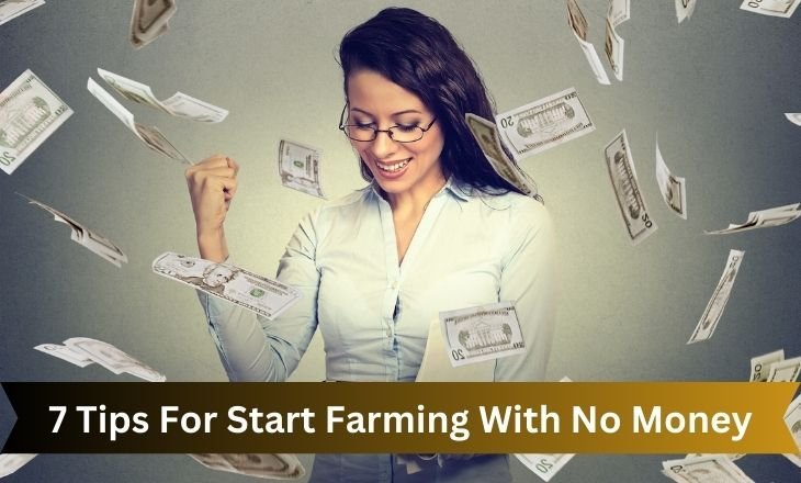 7 Tips For Start Farming With No Money